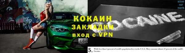 кокс Алексин