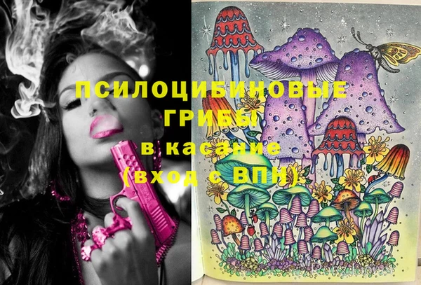 кокс Алексин