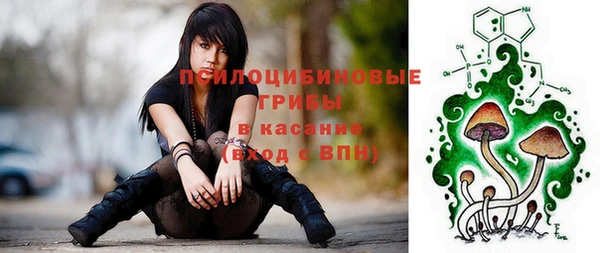 кокс Алексин