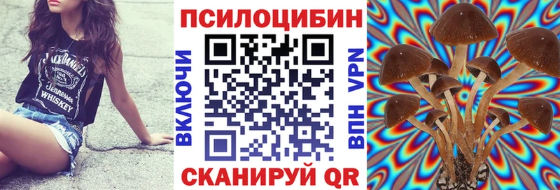 купить закладку  Щёлково  Псилоцибиновые грибы GOLDEN TEACHER 